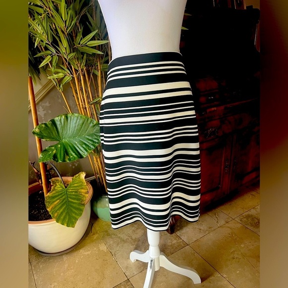 Ann Taylor Factory skirt 8. Excellent condition hidden back zip elastic waist - Picture 4 of 8